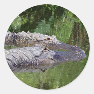 Stickers Gators in Love
