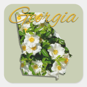 Stickers - GEORGIE