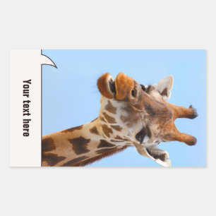 stickers Giraffe Portrait