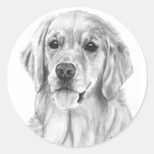 Stickers Golden Retriever Sketch