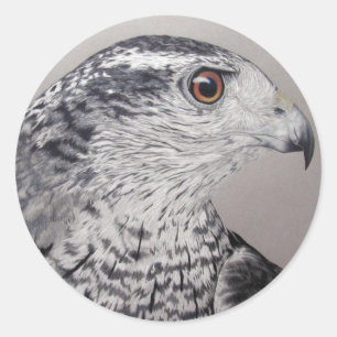 Stickers Goshawk