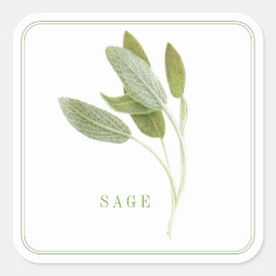 Stickers grand Carré FRAIS SAGE