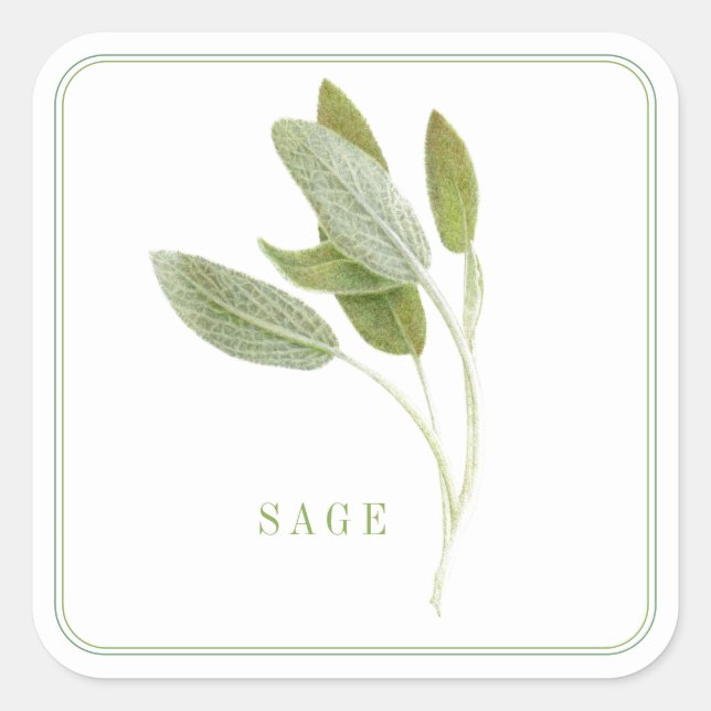 Stickers grand Carré FRAIS SAGE (Devant)