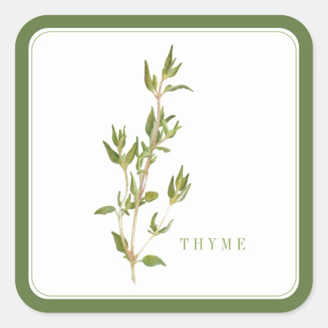 Stickers grand Carré FRAIS THYME - Vert (Devant)