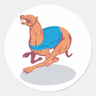Stickers Greyhound Racing