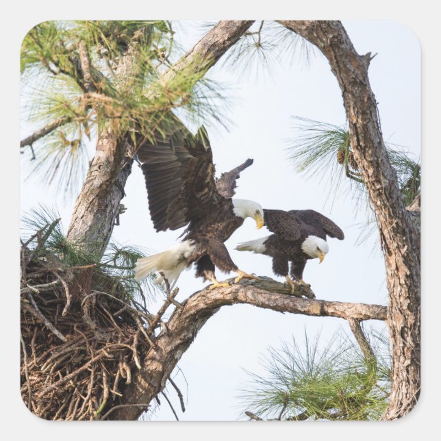 Stickers H & M (Devant)