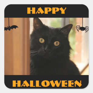 Stickers Halloween Chat Noir