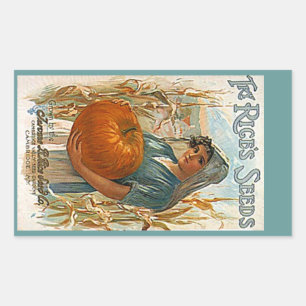 STICKERS Heirloom Antique Citrouille Graines de pr