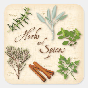 Stickers Herbes et épices