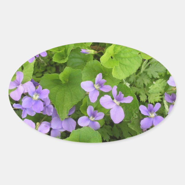 Stickers - Herbes Violets (Devant)