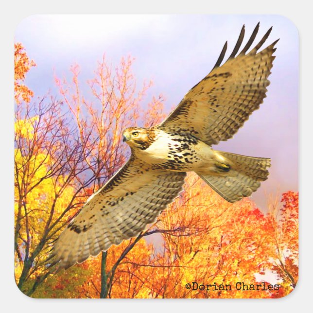 Stickers "High Flyer" (Devant)