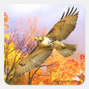 Stickers "High Flyer"