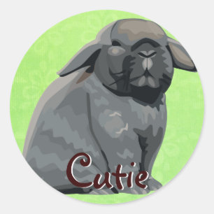 Stickers Holland Lop