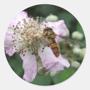 Stickers Hoverfly