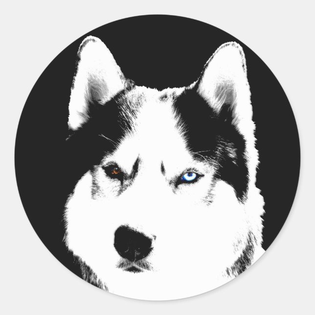 Stickers Husky Siberian Husky Stickers Malamute (Devant)