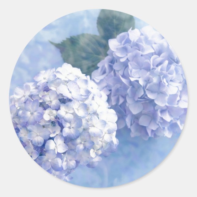 Stickers-Hydrangea-Blume Runder Aufkleber (Vorderseite)