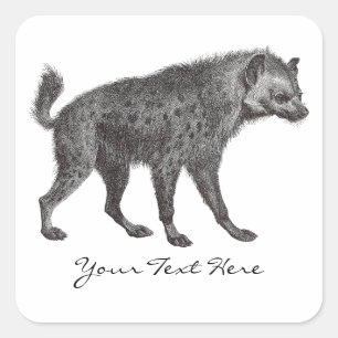 Stickers Hyena tachetés
