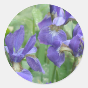 Stickers Iris Bulles