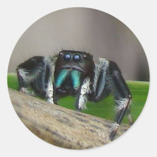 Stickers Jack Jumping