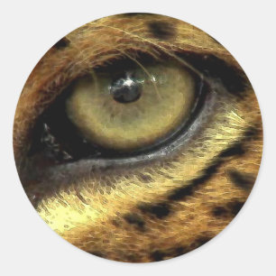 Stickers Jaguar Eye Espèces en voie de disparition