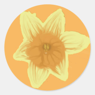 Stickers Jaune Orange Daffodique