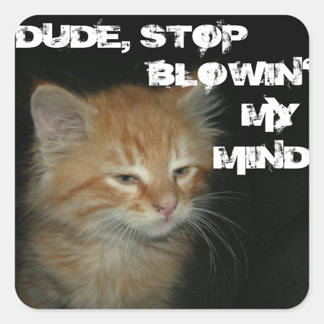 Stickers Kitty "DUDE STOP BLOWIN' MY MIN" 20 Set (Devant)