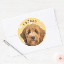 Stickers Labradoodé Floral amusant Cute Retro Desi