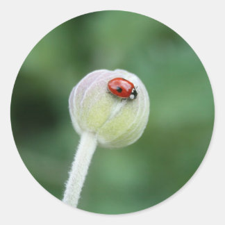 Stickers Lady Bird