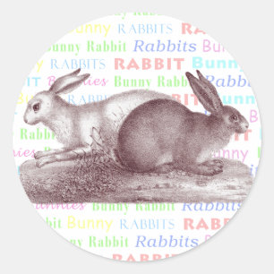 Stickers Lapin Lapin - Habillez Vos Paquets