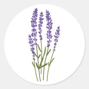 stickers lavande aquarelle fleurs herbes