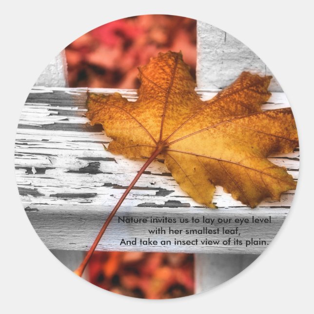 Stickers Leaf Automne (Devant)