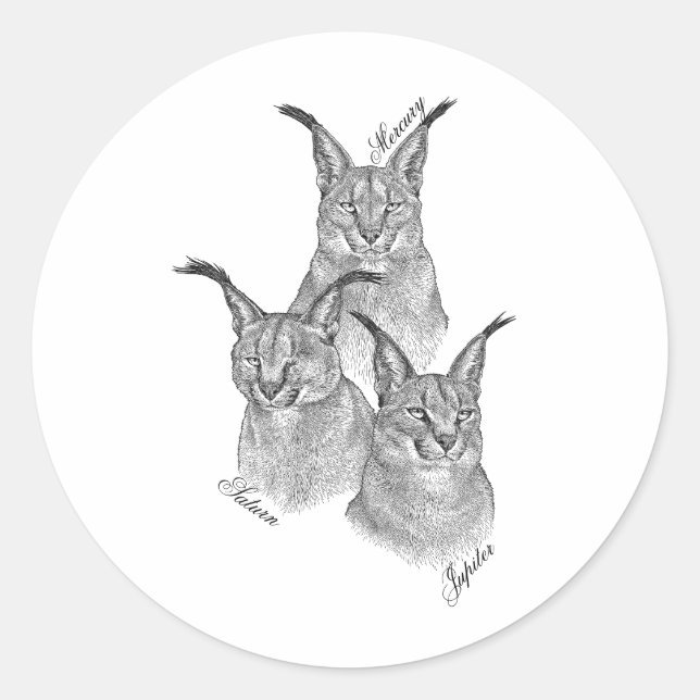 Stickers - Les planètes (Devant)