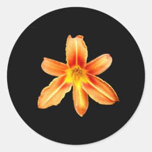 Stickers Lily de tigre orange