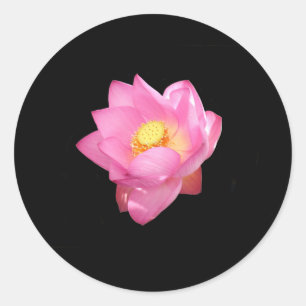 Stickers Lily d'eau