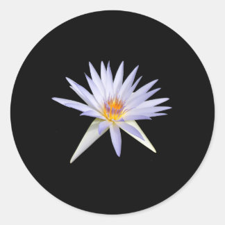 Stickers Lily d'eau
