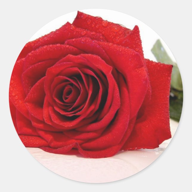 Stickers Long Stem Red Rose (Devant)
