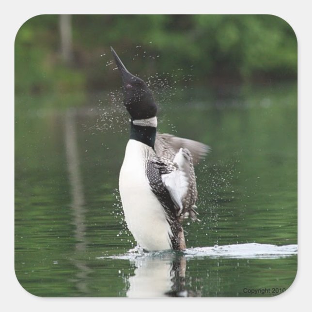 Stickers Loon (Devant)