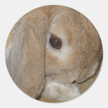Stickers - Lop Oared Zwarf Kaninchen