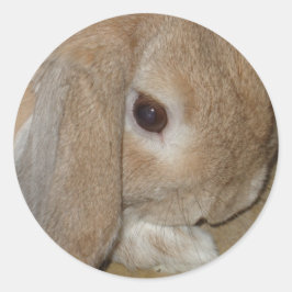 Stickers - Lop Oared Zwarf Kaninchen