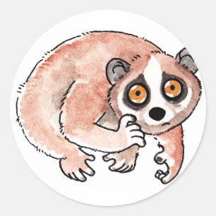 Stickers Loris Lents
