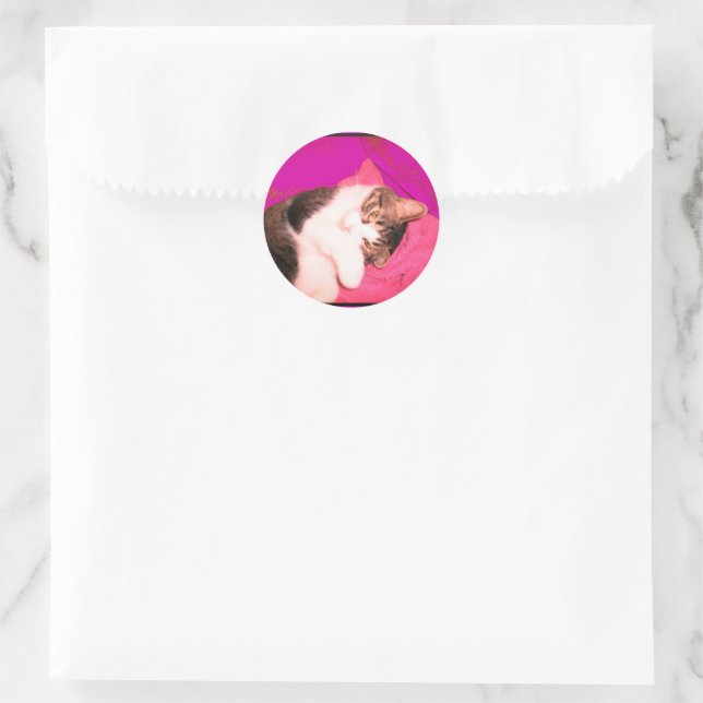 Stickers Lucy Kitty (Sac)