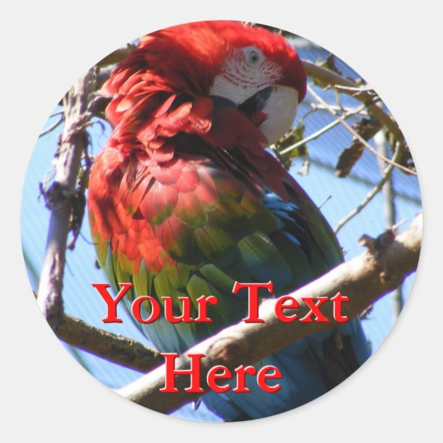 Stickers Macaw (Devant)