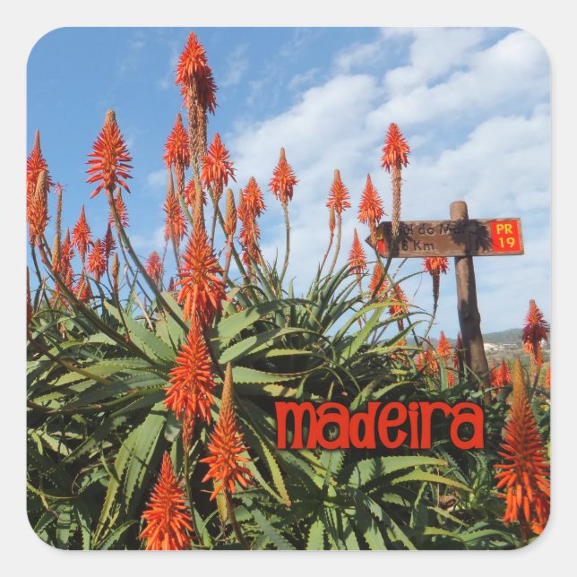 stickers Madeira Aloe (Devant)