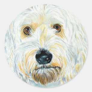 Stickers Maggie Labradoodle Blanc