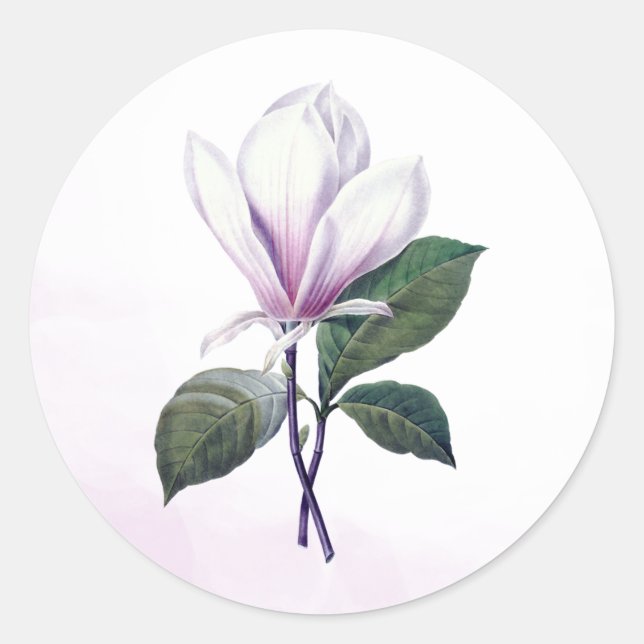 Stickers Magnolia Flower Seals (Devant)