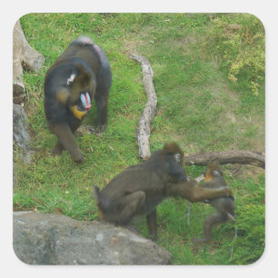Stickers Mandrill #6