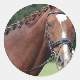 Stickers Mane Cheval tressé