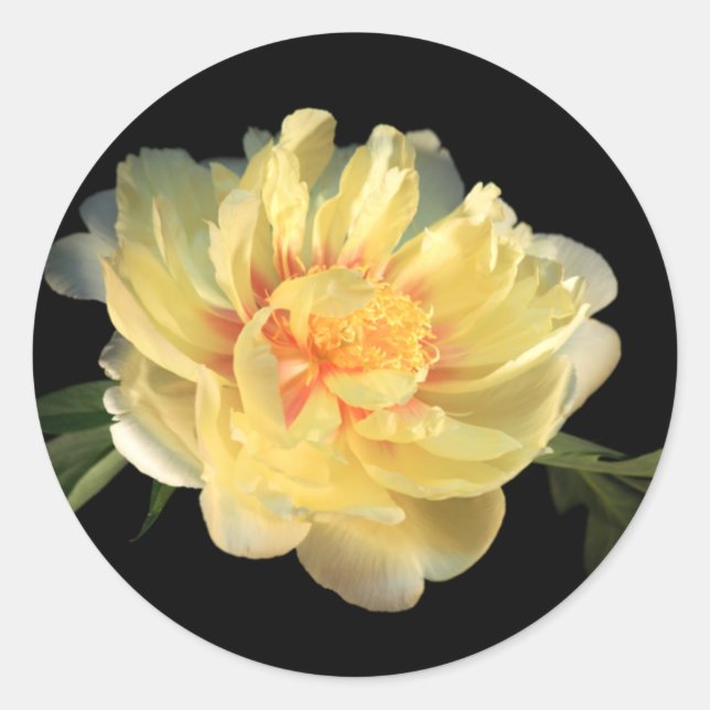 Stickers Mariage Enveloppe Peony Jaune (Devant)
