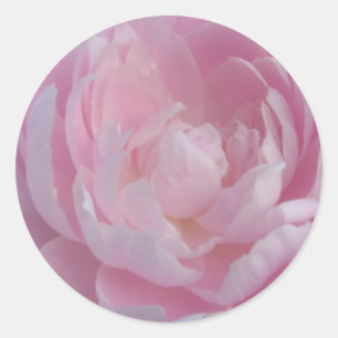 Stickers Mariage Peony rose clair Peine Peonies