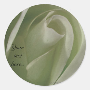 Stickers mariage rose blanche /Étiquettes ronds